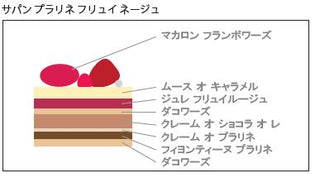 【ノエルケーキご予約】サパン プラリネ フリュイ ルージュ